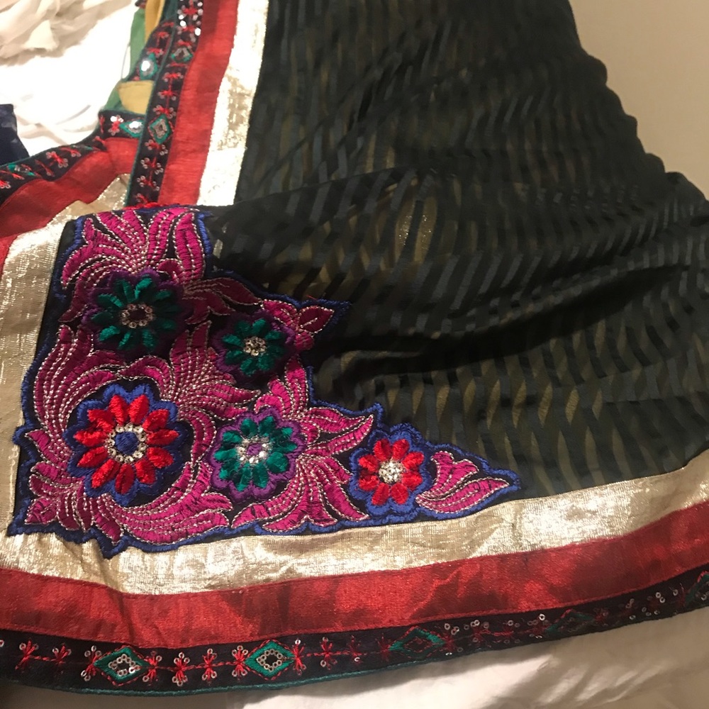 Indian Pakistani saree/dress